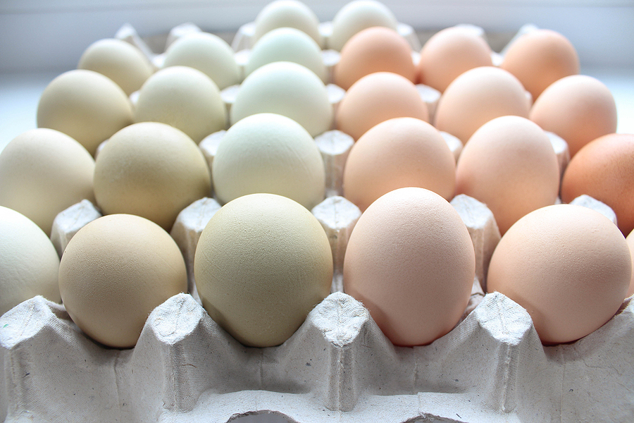 Good Luck Finding Easter Eggs To Dye This Year