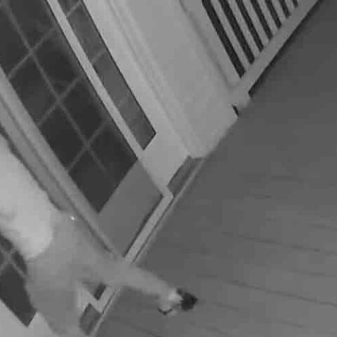 Suspect sought in potomac home break in attempt - photo licensed by shore news network.
