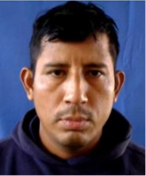 Child Predators Arrested by USBP Agents