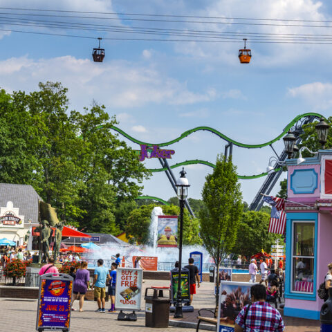 Need a summer job in new jersey? Six flags has that - photo licensed by shore news network.