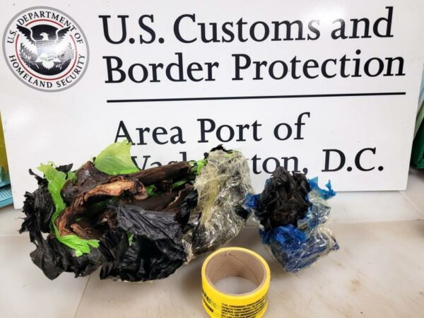 Four-Year-Old Encountered During Marijuana Smuggling Event
