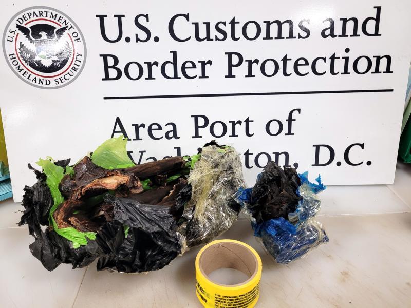 Dulles CBP Agriculture Specialists Intercept Potentially Harmful Bat Meat in Passenger Baggage Customs and Border Protection agriculture specialists intercepted a charred bat in the baggage of a Maryland traveler who arrived from Ghana at Washington Dulles International Airport on April 5, 2022.