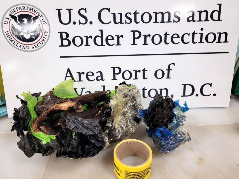 Customs and Border Protection agriculture specialists intercepted a charred bat in the baggage of a Maryland traveler who arrived from Ghana at Washington Dulles International Airport on April 5, 2022.