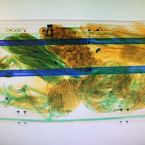 Dulles cbp agriculture specialists intercept potentially harmful bat meat in passenger baggage - photo licensed by shore news network.