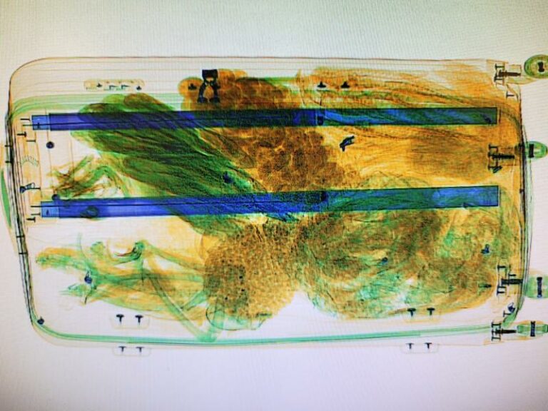 Dulles cbp agriculture specialists intercept potentially harmful bat meat in passenger baggage - photo licensed by shore news network.