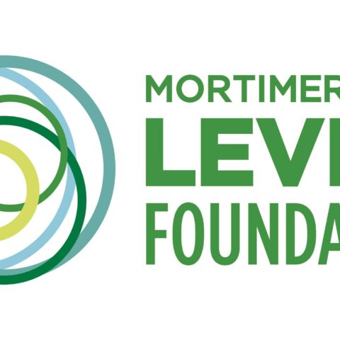 Levitt foundation expands the "levitt amp grant awards" into multi-year, $90k matching grants to support nonprofits based in small to mid-sized towns and cities - photo licensed by shore news network.