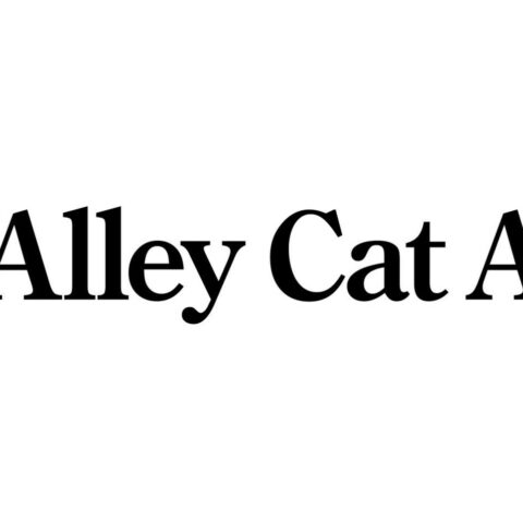 Maryland's cat declawing ban celebrated by alley cat allies - photo licensed by shore news network.