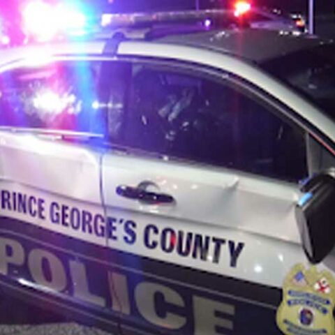 Police cruiser vandalized in laurel, department seeks to identify suspects - photo licensed by shore news network.