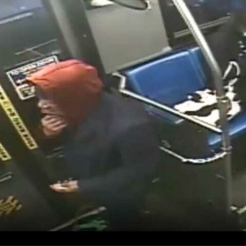 Woman pistol whipped and robbed on new york city subway train - photo licensed by shore news network.