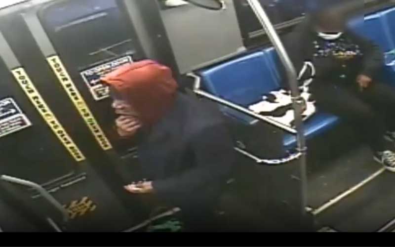 Woman Pistol Whipped and Robbed on New York City Subway Train