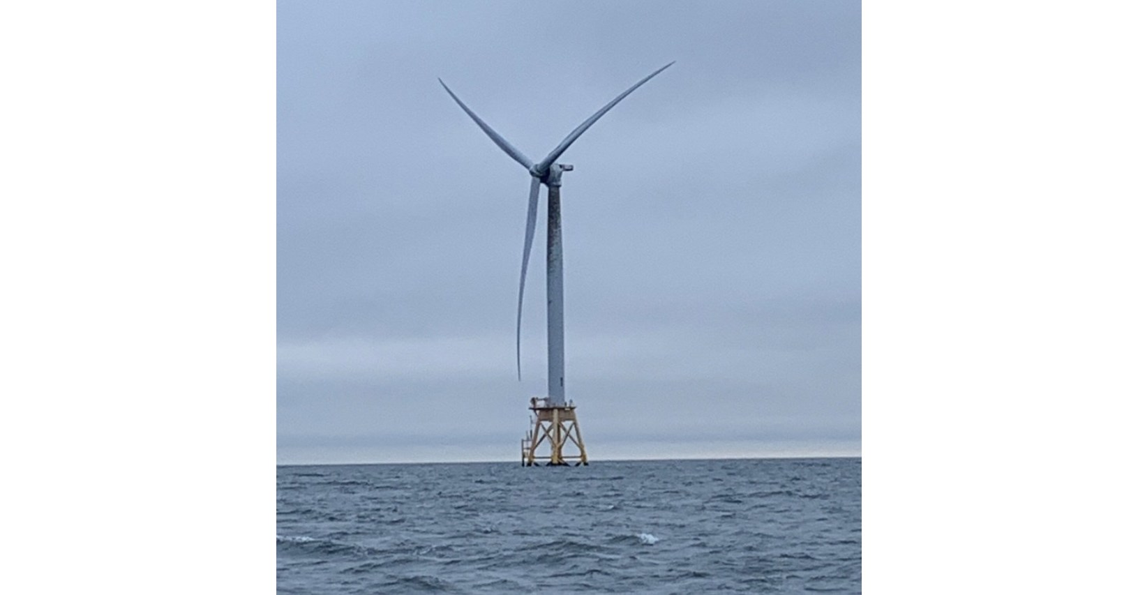 Report: "Conflicts of Interest" - Environmental Organizations Take Offshore Wind Industry Money