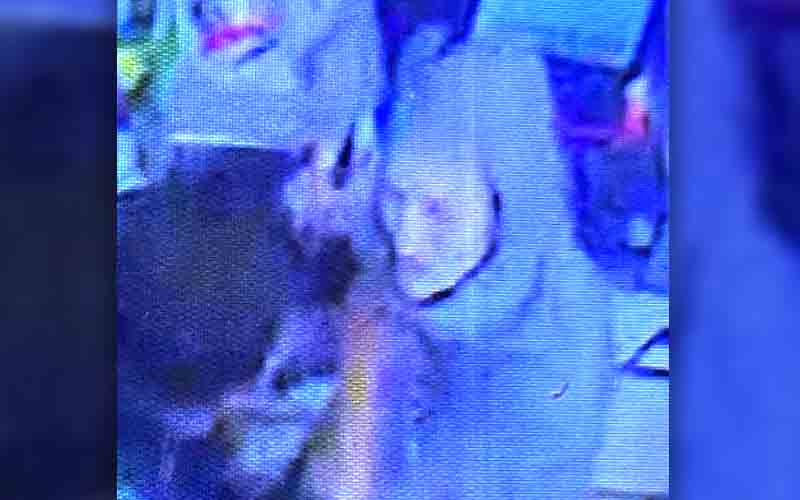 Police Seeking to Identify Woman who Robbed Business at Knifepoint