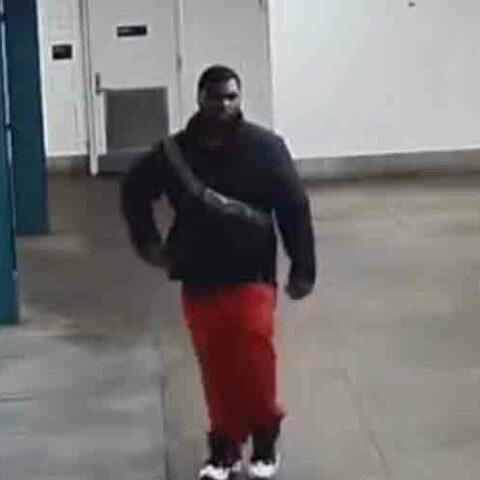 Suspect used bolt cutters to break into nyc grocery store to steal cigarettes - photo licensed by shore news network.