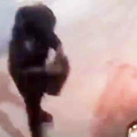 Suspects punched multiple women, stole purses before fleeing on motorcycle in new york city - photo licensed by shore news network.