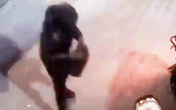 Suspects Punched Multiple Women, Stole Purses Before Fleeing on Motorcycle in New York City
