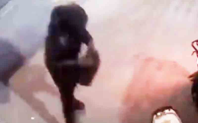 Suspects Punched Multiple Women, Stole Purses Before Fleeing on Motorcycle in New York City