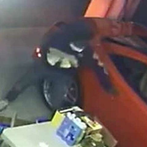 Ferrari stolen from home of real housewives of new jersey star - photo licensed by shore news network.