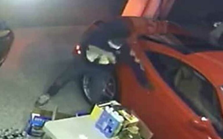 Ferrari stolen from home of real housewives of new jersey star - photo licensed by shore news network.