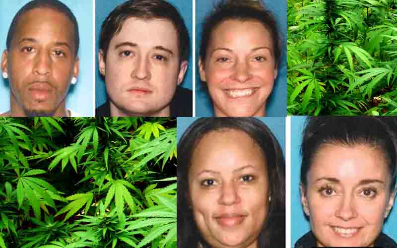 Ocean County Drug Dealers Busted with 600 Pounds of Weed, Cocaine, Fentanyl