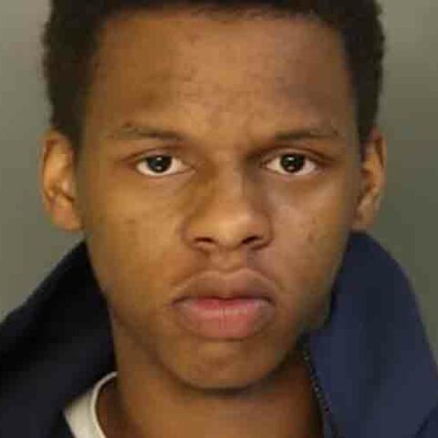 Double vehicular homicide suspect arrested in newark in another stolen car - photo licensed by shore news network.