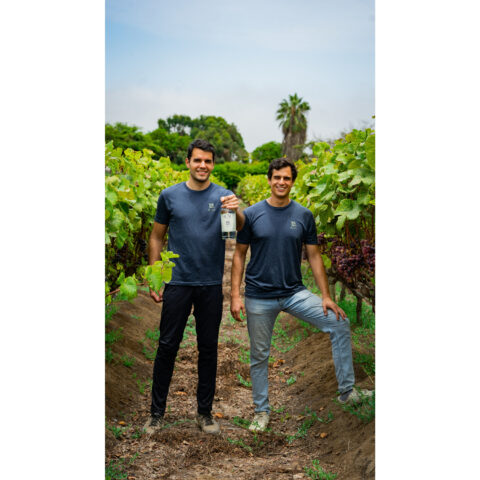 Suyo, single-origin craft pisco, makes its american debut with skurnik distribution - photo licensed by shore news network.