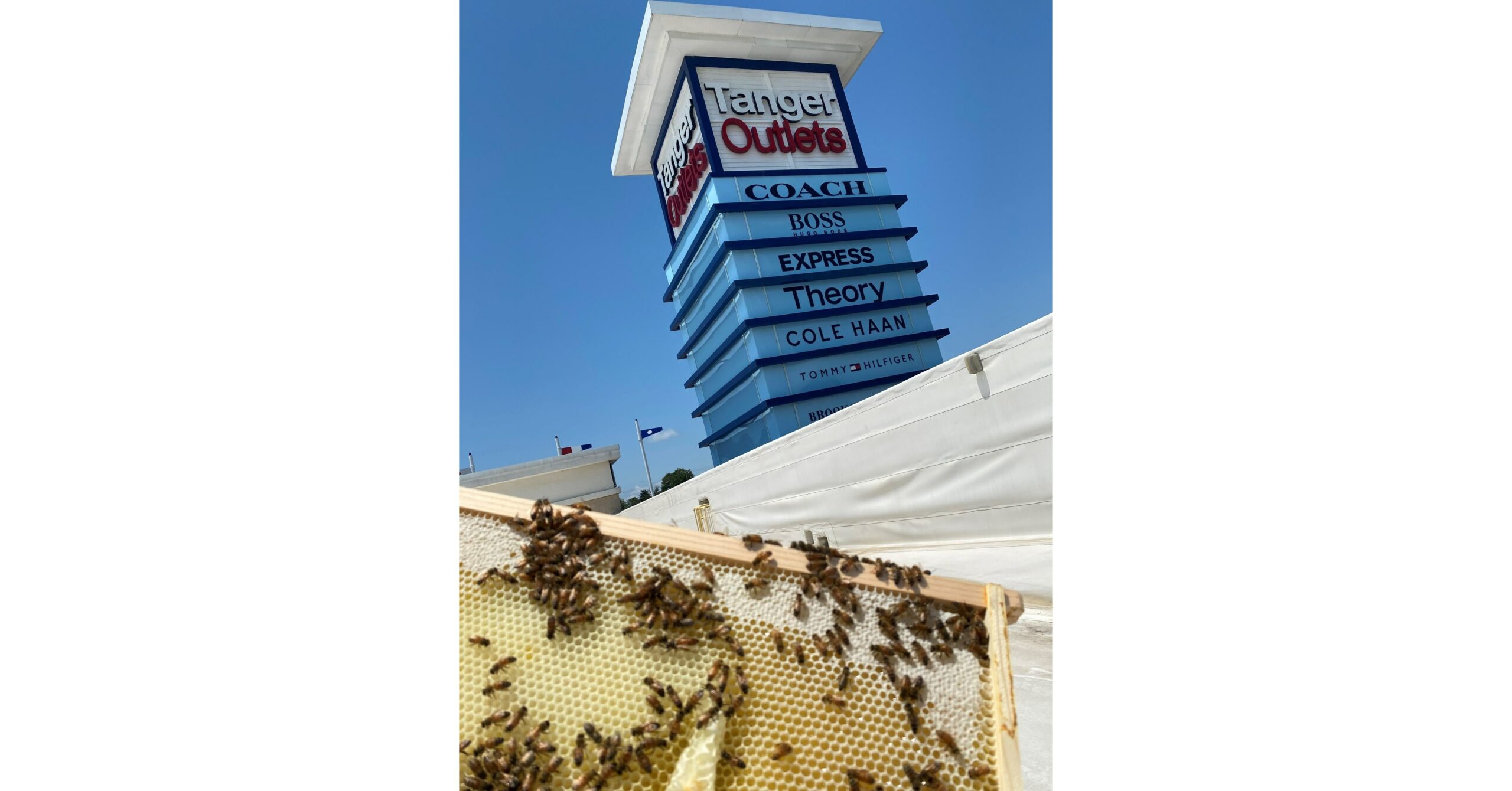 Tanger Outlets Commemorates Earth Day with Increased Commitment to Sustainability: Expansion of Tanger Honeybee Hives, Tree Planting Programs and Electric Vehicle Charging Upgrades