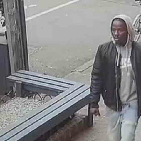 Victim stabbed multiple times in manhattan's tompkins square park - photo licensed by shore news network.