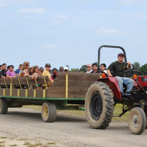 Beloved jersey shore self pick farm calls it quits, puts property up for sale - photo licensed by shore news network.