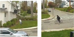 Woman robbed and assaulted in morristown