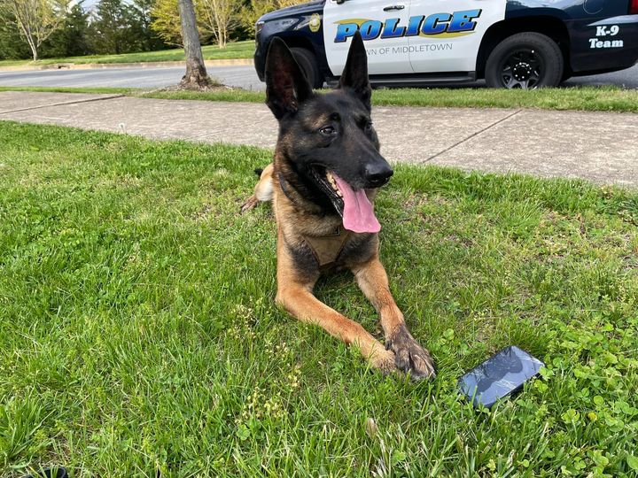 Police K-9 Helps Middletown Kid Find Lost Cell Phone