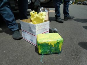 Lindenhurst woman caught trafficking three kilos of cocaine from the dominican republic