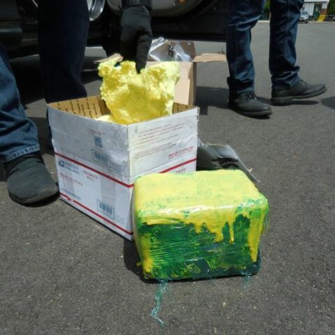 Lindenhurst woman caught trafficking three kilos of cocaine from the dominican republic - photo licensed by shore news network.