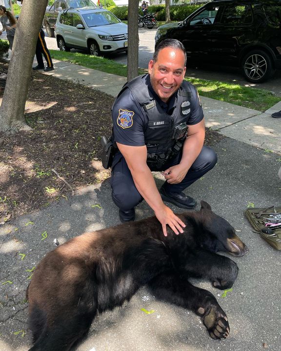 Montclair Animal Control, Police Take Down Black Bear Roaming Neighborhood