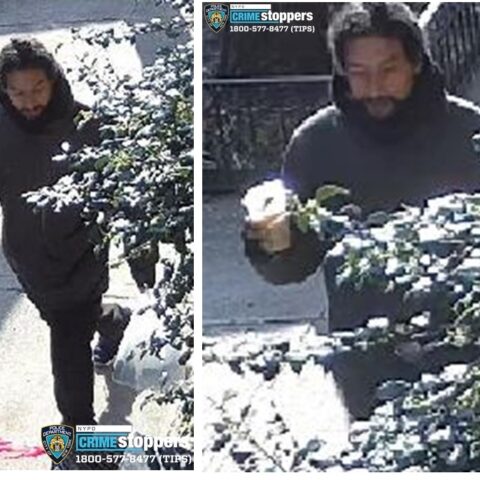 68-year-old asian woman assaulted in manhattan, police seeking suspect - photo licensed by shore news network.