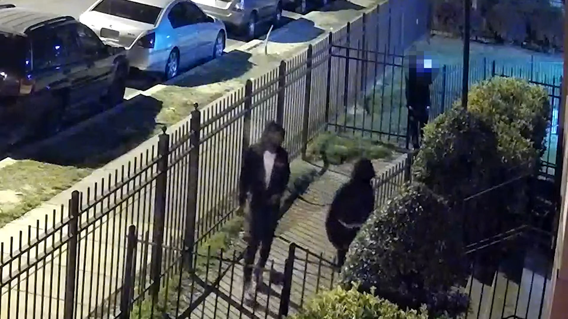 Man Shot in Southeast D.C. And Police Need Your Help