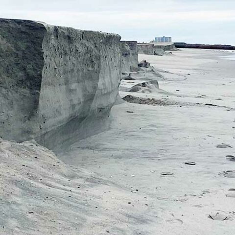 Nj coastal alliance says army corps beach projects doing more harm than good at the jersey shore - photo licensed by shore news network.