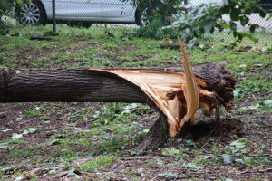 Most of new jersey under severe weather, tornado watch friday