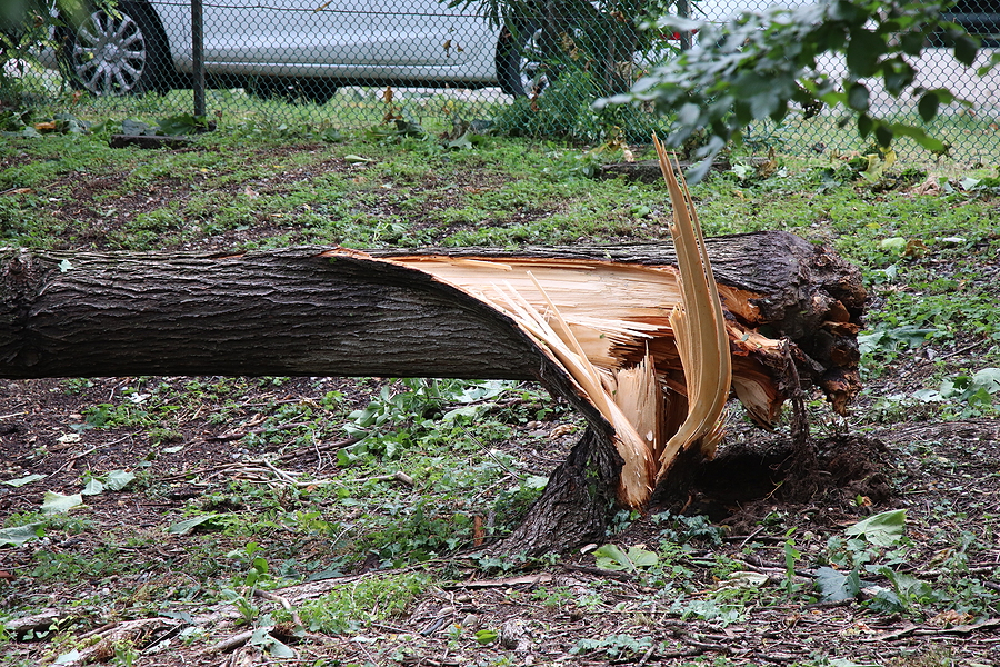 Most of New Jersey Under Severe Weather, Tornado Watch Friday