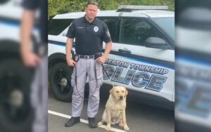 Meet pemberton's newest cop, bodhi Meet pemberton's newest cop, bodhi