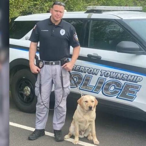 Meet pemberton's newest cop, bodhi - photo licensed by shore news network.