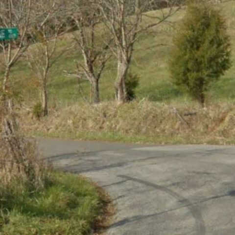 Victim assaulted, house set on fire, suspect apprehended in crash in bizarre incident in roanoke - photo licensed by shore news network.