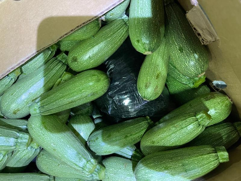 CBP officers began inspecting within the boxes of squash and discovered 259 packages of methamphetamine and 1 package of cocaine comingled within the produce. 