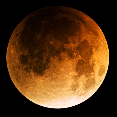 Skies clear at the jersey shore for full lunar eclipse after midnight - photo licensed by shore news network.