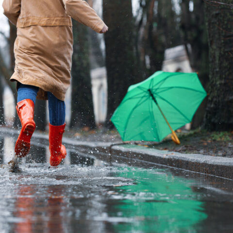 Storm flushes out toms river food festival - photo licensed by shore news network.