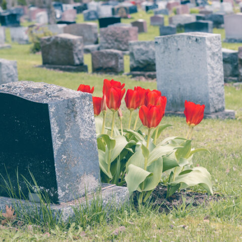 Attorney general seeks to stop fraudulent headstone company from operating in pennsylvania - photo licensed by shore news network.