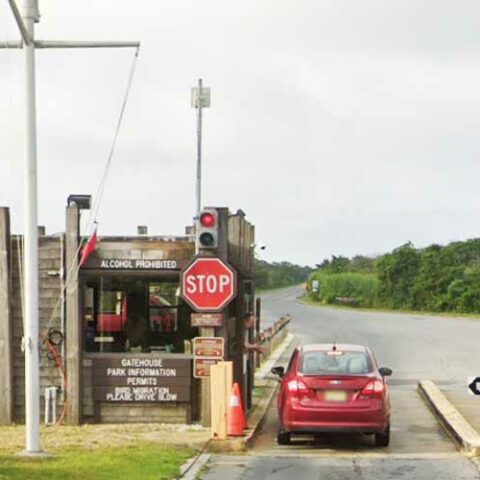 Phil murphy announces free entry into island beach and other state parks this summer - photo licensed by shore news network.