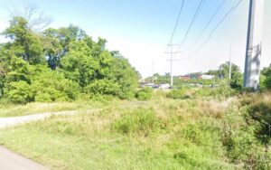 Man found shot dead on roanoke roadway
