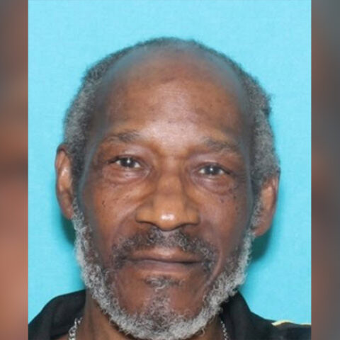 Elderly man, cougar reported missing in philadelphia - photo licensed by shore news network.