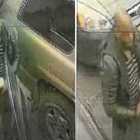 Newark police seeking auto theft suspect - photo licensed by shore news network.