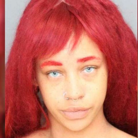 Upper marlboro woman charged for two firebombing incidents - photo licensed by shore news network.